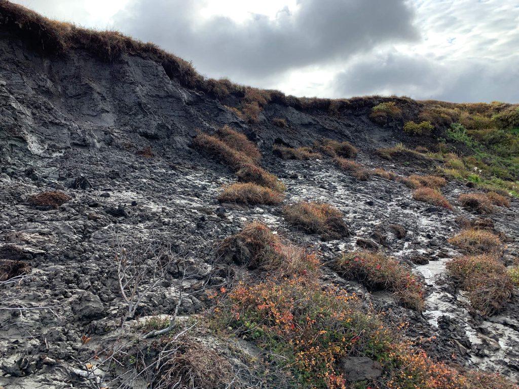 A large thaw slumpon the coast south of Kotzebue