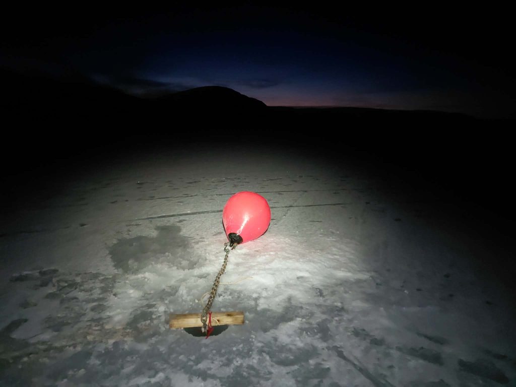 Last Arctic Passion 1